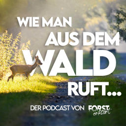 Podcast thumbnail for Wie man aus dem Wald ruft...