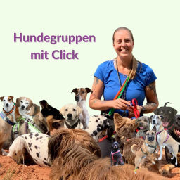 Podcast thumbnail for Hundegruppen mit Click