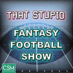 Podcast thumbnail for That Stupid Fantasy Football Show