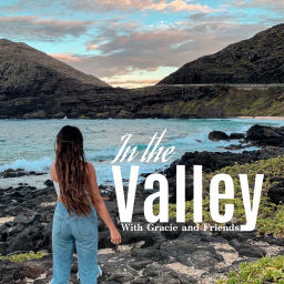 Podcast thumbnail for In the Valley