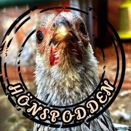 Podcast thumbnail for Hönspodden
