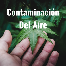 Podcast thumbnail for Contaminación Del Aire