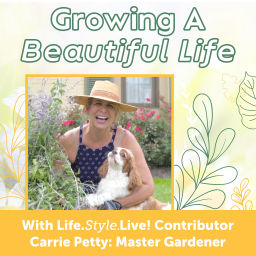 Podcast thumbnail for Growing a Beautiful Life