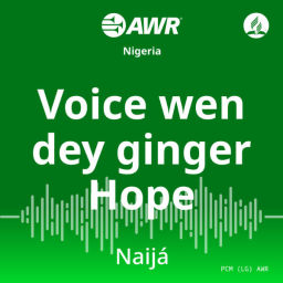 Podcast thumbnail for AWR- Voice wen dey ginger Hope