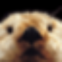 Podcast thumbnail for Le Foie de Loutre