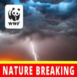 Podcast thumbnail for Nature Breaking