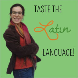 Podcast thumbnail for Satura Lanx - Latin language and literature for beginners