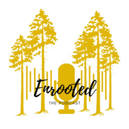Podcast thumbnail for Enrooted, The Podcast