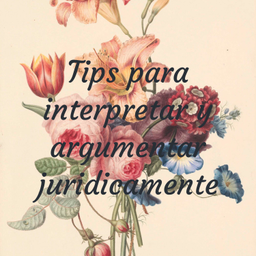 Podcast thumbnail for Tips para interpretar y argumentar juridicamente