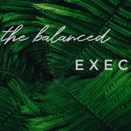 Podcast thumbnail for The balanced exec