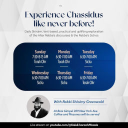Podcast thumbnail for Chassidus with Rabbi S Greenwald