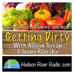 Podcast thumbnail for Getting Dirty