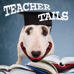 Podcast thumbnail for Teacher Tails - Karrer Shorts