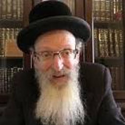 Podcast thumbnail for Reb Shaya Guttman