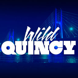 Podcast thumbnail for Wild Quincy