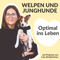 Podcast thumbnail for Optimal ins Leben! Welpen und Junghunde