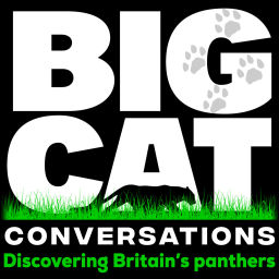 Podcast thumbnail for Big Cat Conversations