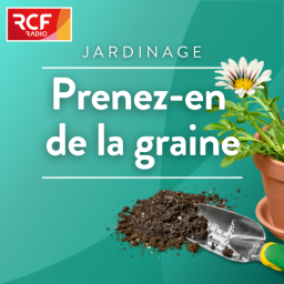 Podcast thumbnail for Prenez-en de la graine : des conseils jardinage écolos