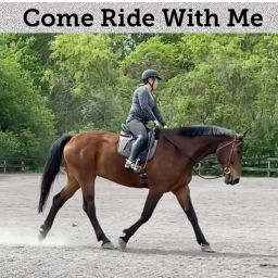 Podcast thumbnail for Come Ride With Me