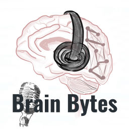Podcast thumbnail for Husky Brain Bytes