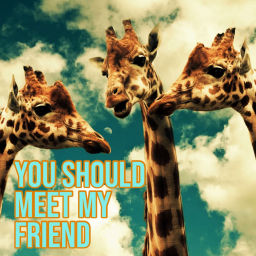 Podcast thumbnail for You Should Meet My Friend