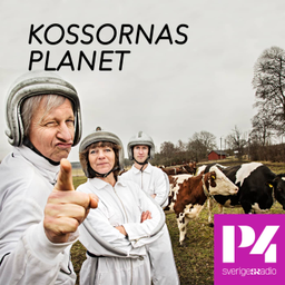 Podcast thumbnail for Kossornas planet
