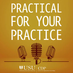 Podcast thumbnail for Practical for Your Practice
