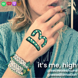 Podcast thumbnail for Secret Seshions: A Stoner Podcast