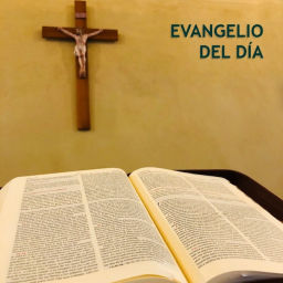 Podcast thumbnail for Evangelio del día - P. Pedro Brassesco