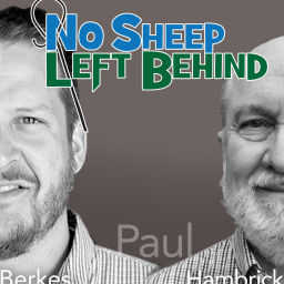 Podcast thumbnail for No Sheep Left Behind