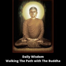 Podcast thumbnail for Daily Wisdom - Walking The Path with The Buddha