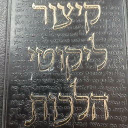 Podcast thumbnail for Rebbe Nachman's Stories In English