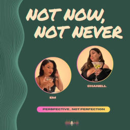 Podcast thumbnail for Not Now, Not Never
