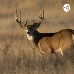 Podcast thumbnail for Kamryn's Environment Talk