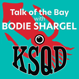 Podcast thumbnail for Talk of the Bay with Bodie Shargel