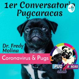 Podcast thumbnail for 🐶❤️ Consejos y cuidados de nuestros Pug Carlinos - @pugcaracas 🇻🇪