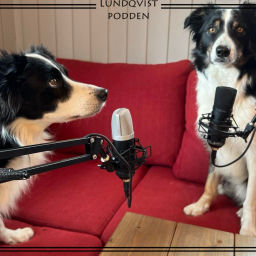 Podcast thumbnail for Lundqvist-podden