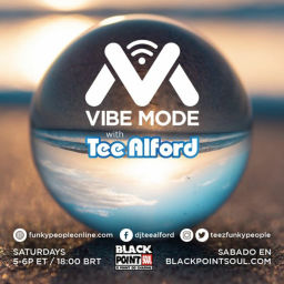 Podcast thumbnail for Vibe Mode® Radio Podcast