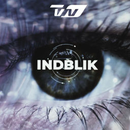 Podcast thumbnail for Indblik