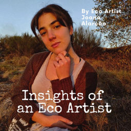 Podcast thumbnail for Insights of an Eco Artist