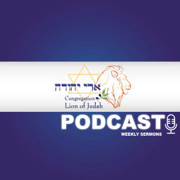 Podcast thumbnail for Messianic Congregation Lion of Judah