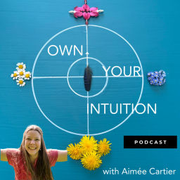 Podcast thumbnail for Own Your Intuition Show
