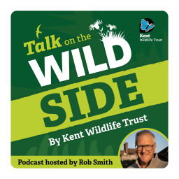 Podcast thumbnail for Talk on the Wild Side