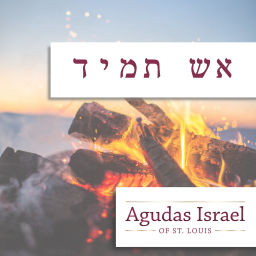 Podcast thumbnail for Aish Tamid