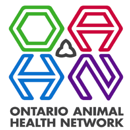 Podcast thumbnail for Ontario Animal Health Network Veterinary Podcasts