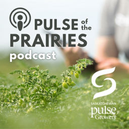 Podcast thumbnail for Pulse of the Prairies