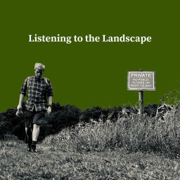 Podcast thumbnail for Listening to the Landscape: Holbrook