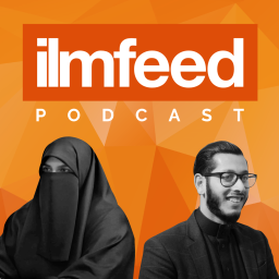 Podcast thumbnail for IlmFeed Podcast