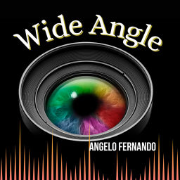 Podcast thumbnail for Wide Angle