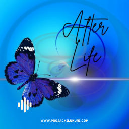Podcast thumbnail for The After Life Podcast